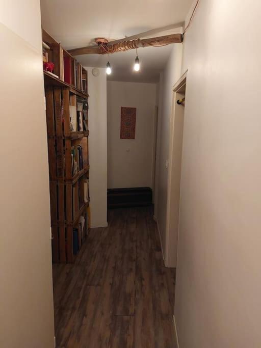 Le Cosy-Chic - T3 Balneo A Villeurbanne / Lyon Экстерьер фото